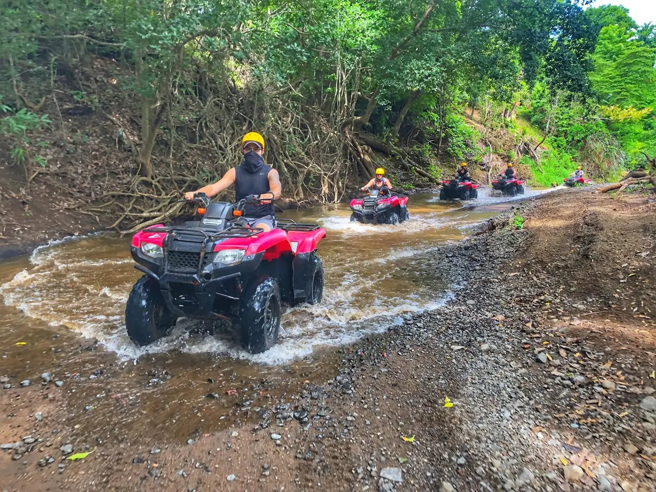 da13a769 6c00 47c4 b7ed 28698cab14cf.jpg