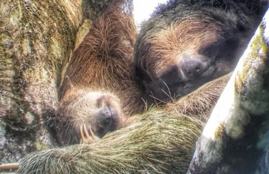 db8b10c0 5fd7 492f 8752 de2e4db8b27d.jpg