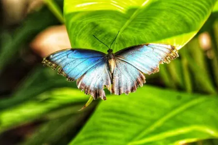 dc4bcb53 6f4c 412f a7d7 f1bc12dbfb56.jpg