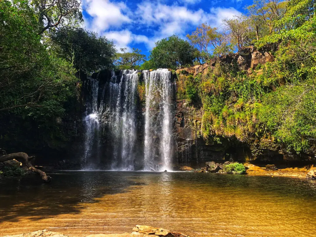 ddaee2d6 f520 4a59 8e03 c6512ccdf45a.jpg