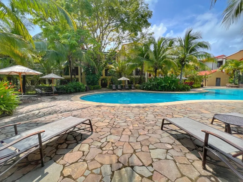 e0a02c96 14ef 4975 87ba e689ccad9c95.jpg