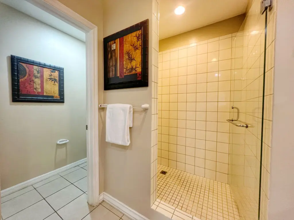 e2528d48 5e63 4e6e bcc7 c878849d1ddb.jpg