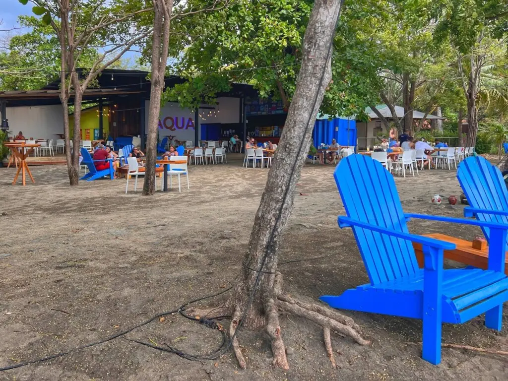 e3cb53c1 67d9 4aa8 8e34 8ee3da03b27b.jpg