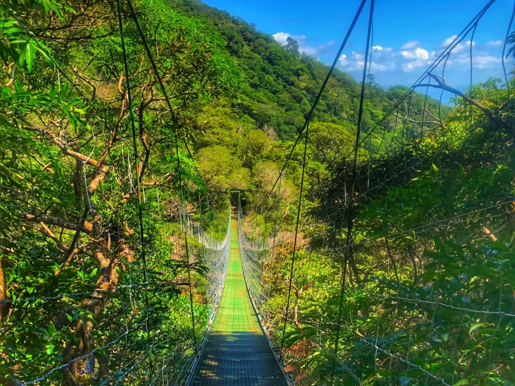 e639a8a3 2b3c 4268 b89c 2f27ed6d3875.jpg