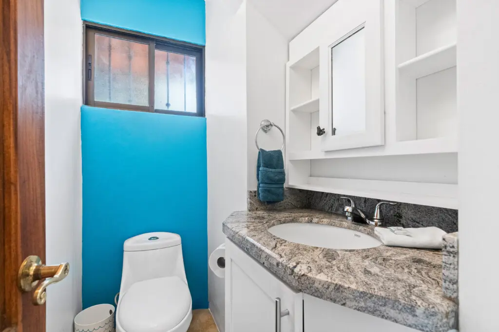 e6454918 696d 47ee ad32 8f82c57924cf.jpg