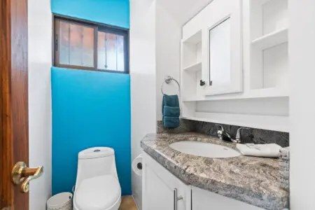 e6454918 696d 47ee ad32 8f82c57924cf.jpg