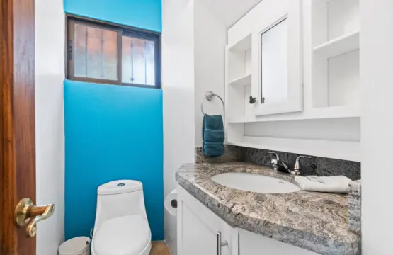 e6454918 696d 47ee ad32 8f82c57924cf.jpg