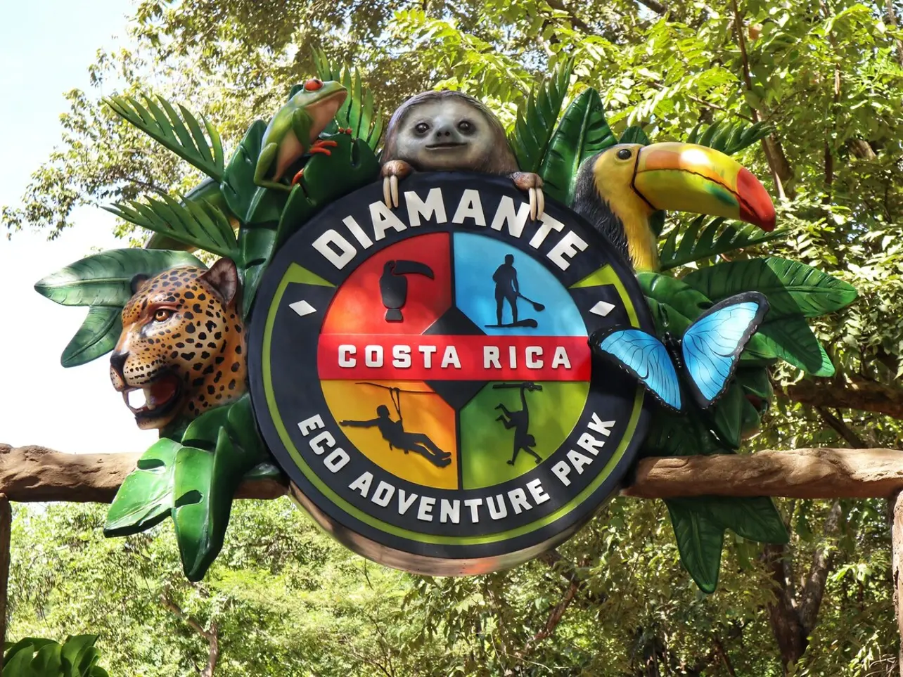 e9464e1d f7f2 4e63 90dd abc27b76d9ca.jpg