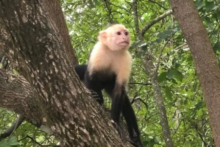 e9fa02b9 58fb 4a34 becd a7e82e322375.jpg