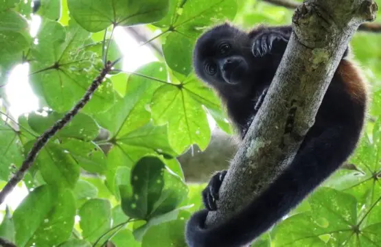 ea809cb2 a5b4 4875 89c8 af3e78c98fe3.jpg