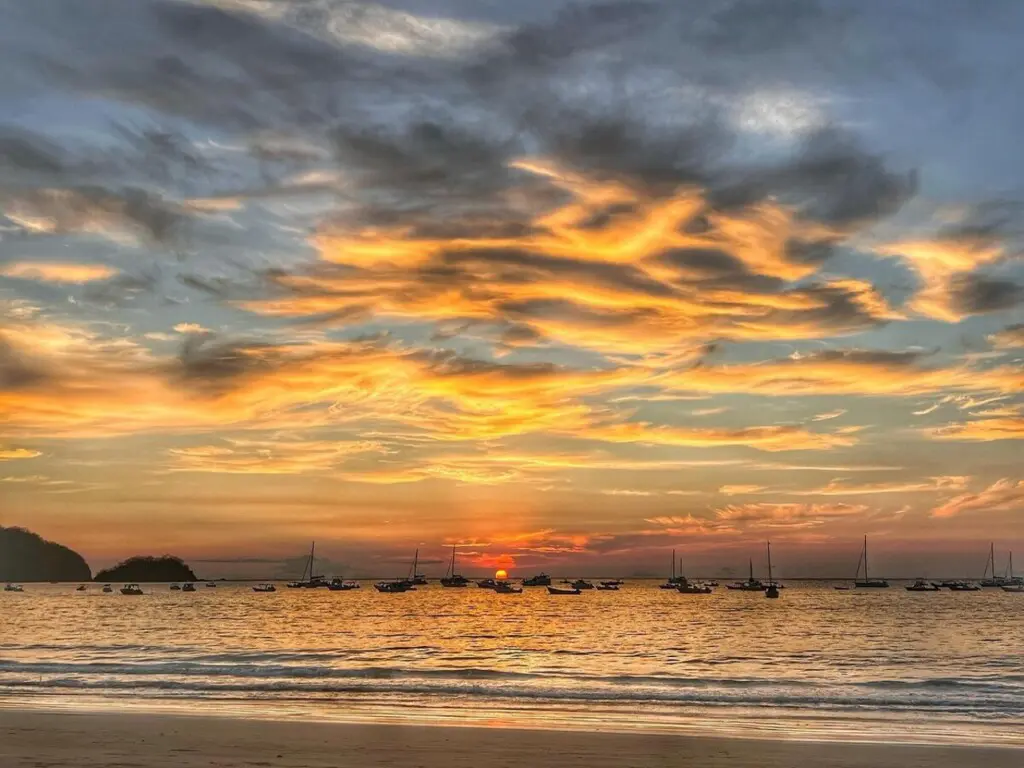 eb4998e8 11a6 43f6 b042 9f51456af583.jpg