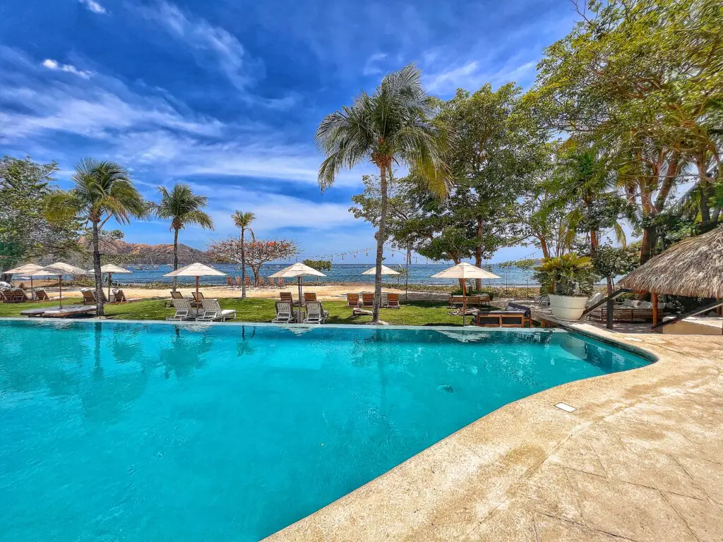 f20d848f cba3 4bd5 8224 d311126ab772.jpg