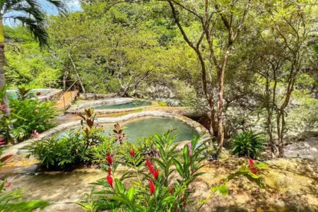 f5ab974e ba21 4d44 ae62 8da1a1e0dc84.jpg