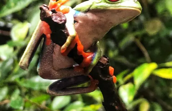 f5dd951d ed99 429d af7d 242a9b8c5713.jpg