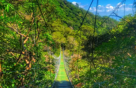 f6e4589d 34e7 4de3 8ebf 0d027d9afea4.jpg