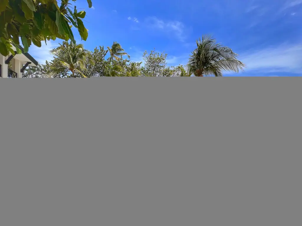 fbcf29f2 c94b 4027 8cd8 684f418d719b.jpg