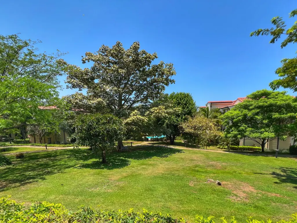 fdb739bb 80ee 43f4 adb1 b017be939d19.jpg