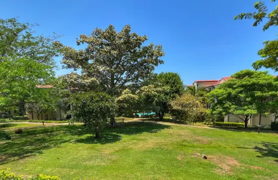 fdb739bb 80ee 43f4 adb1 b017be939d19.jpg