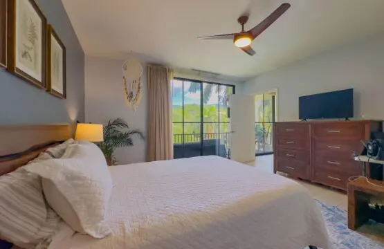 fe467896 0a55 4b07 8345 e7cb1ad3262f.jpg