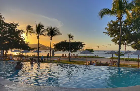 3f307e10 9423 46b9 9bf3 ff564952cc7b.jpg