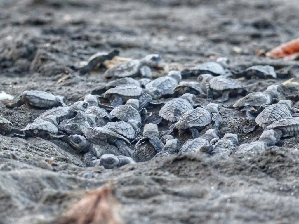 6333c42a 4a25 4b64 a05a 5d6c924e89bd