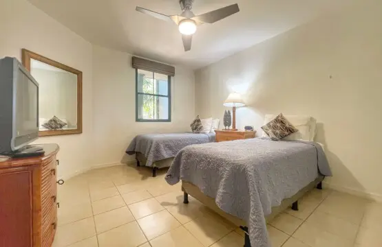 76bd464c c7bd 4805 aedc 6dacc11ab94e.jpg