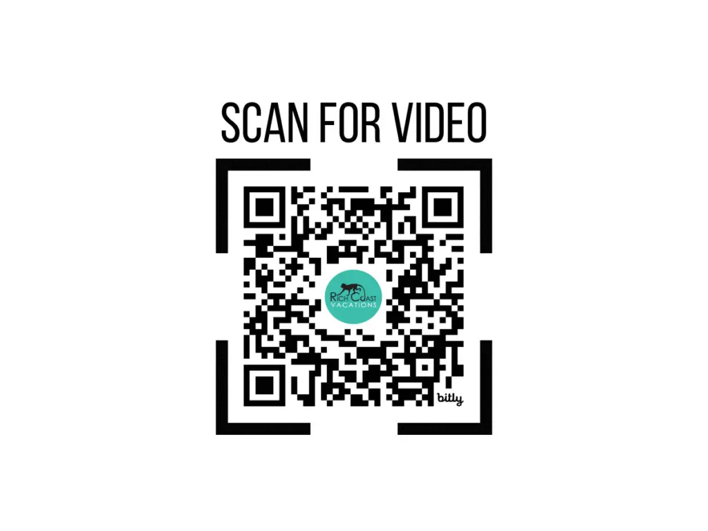 a3494d99 2400 46c0 98d5 c38bb2f78a8f.jpg