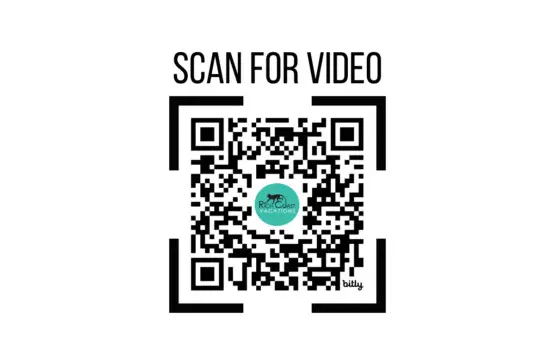 a3494d99 2400 46c0 98d5 c38bb2f78a8f.jpg