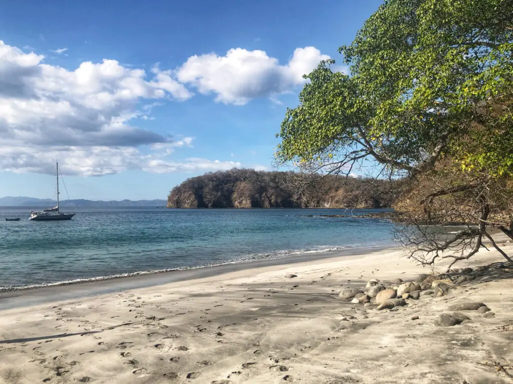 0a3f80e9 341c 495c bc60 fbe388c265ce