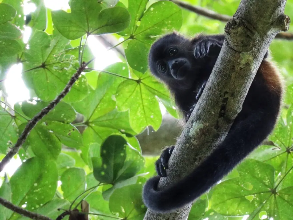 b435a442 7909 49db 83f5 8e44eb0153c9.jpg