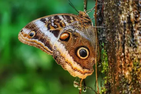 bdc3b4de 17b3 4ce9 b805 7507dedd6715.jpg