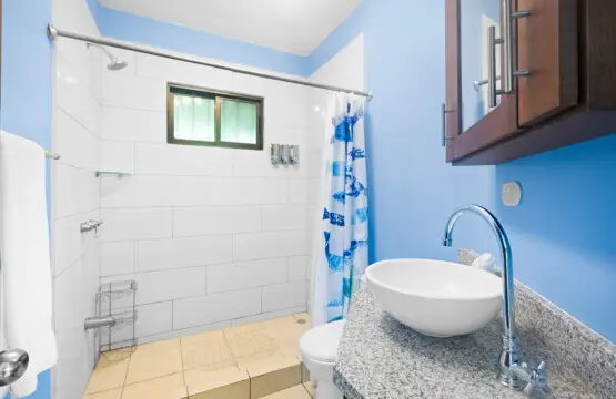 d35316b9 4ba9 4dee 8adc 6190930278a0