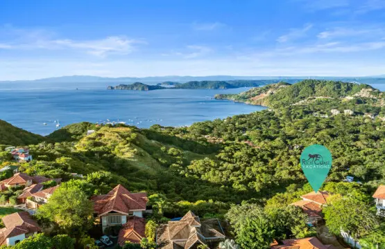 32cdf254 4cab 4b63 95a9 e6b99386c71c