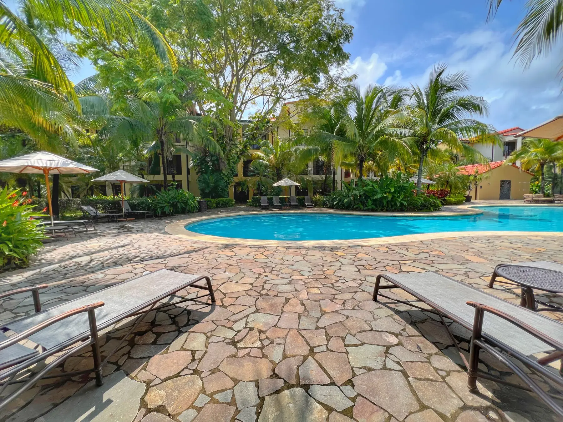 aa76fcd0 147b 4e24 90cb b34bb8e9d937