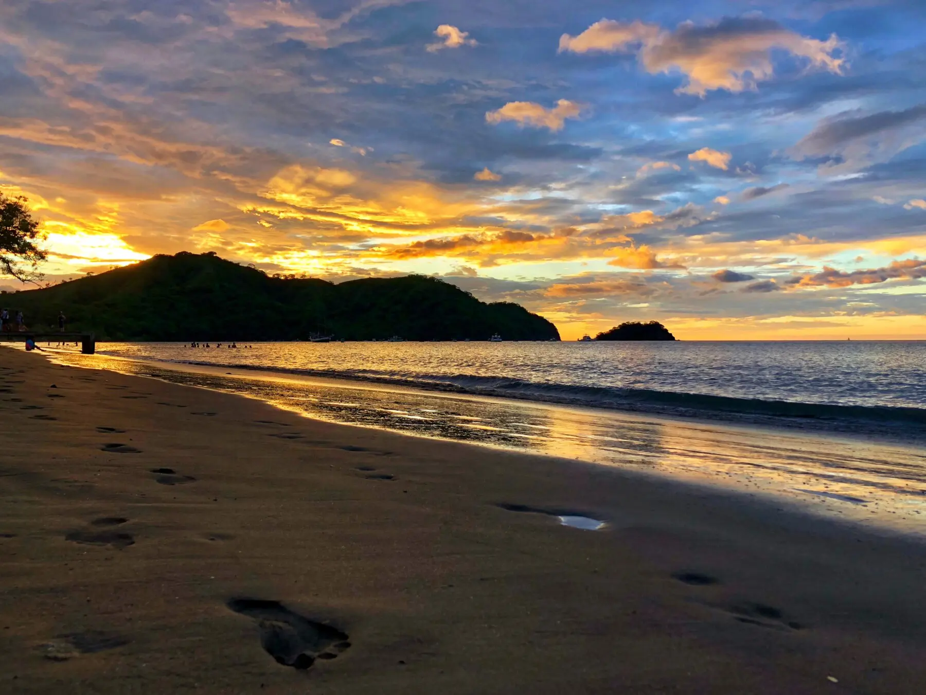 48eb1e9f 0ca1 4b0e b80c 92da0632901d