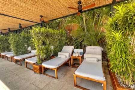 a49fbdd8 866d 4829 b366 60c1e09b526c