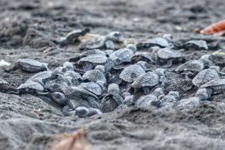 a7ec6948 a383 47ba 98fa 5828313aef6a