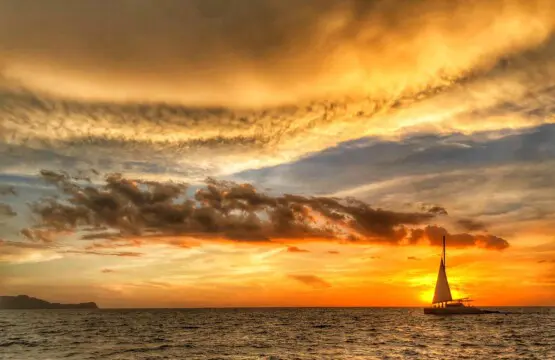 c653dd56 316a 42e5 9191 036e776966ef