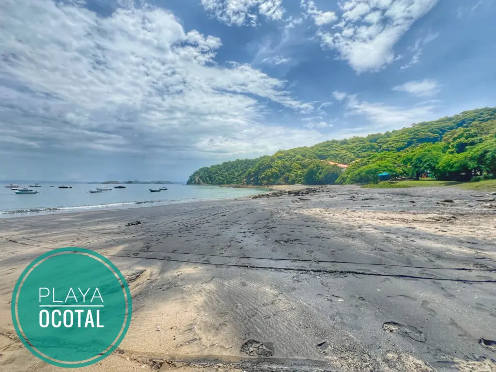 3b9935bc 6ebd 4f4c b059 2c277a684791