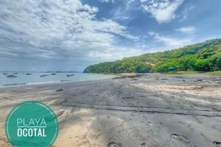 3b9935bc 6ebd 4f4c b059 2c277a684791