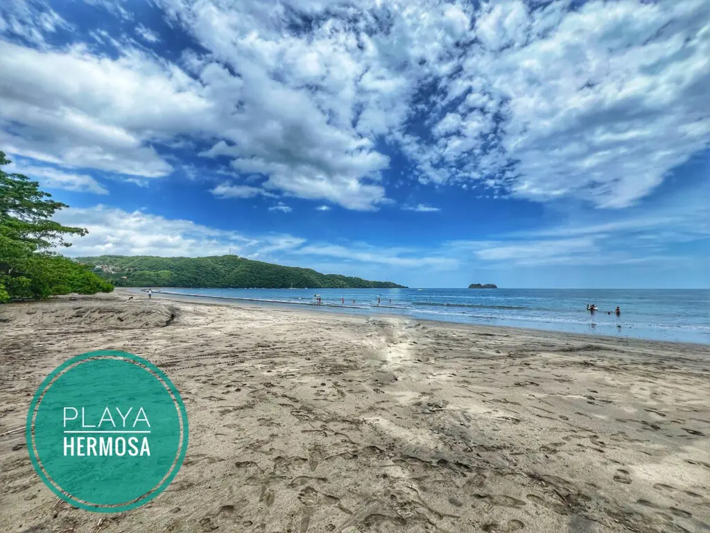 b11a5156 a047 4976 8709 ba239553fb23