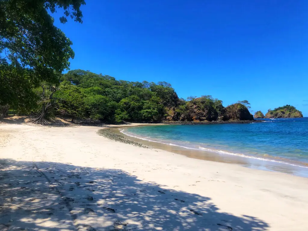 deead4f7 dc8b 4c57 af5e 380ad7bd458e