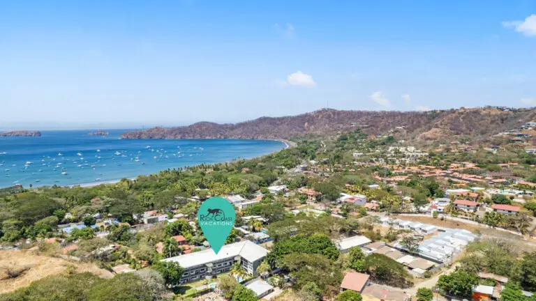 a09f0b87 53ea 415f 99b8 f99aa82d1586