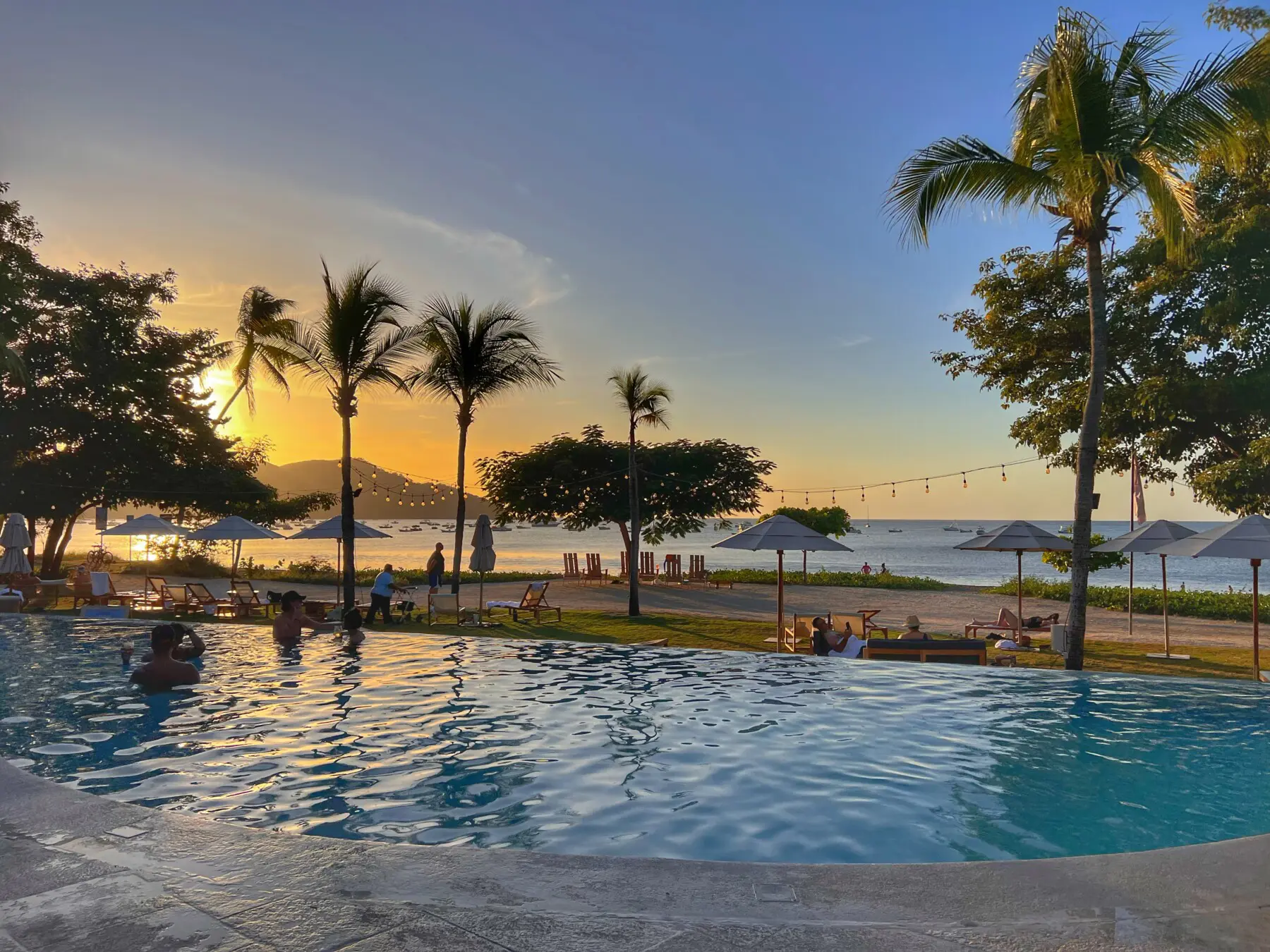 ae11479e d93c 4da4 bb6e 3c7a2af8ead8