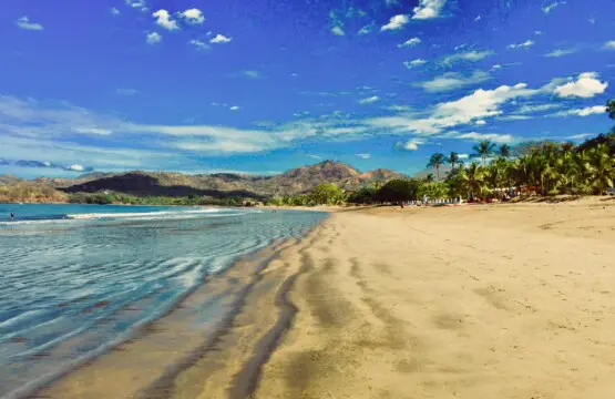 c9495752 0d72 44da bf1a b9838772e694