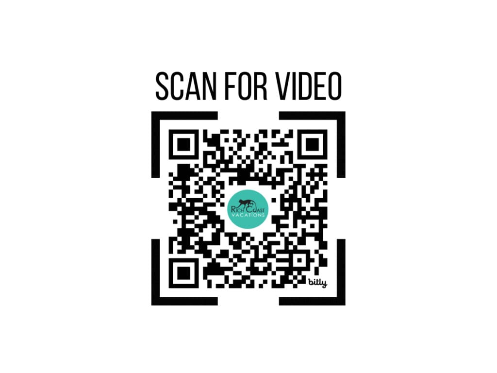 633a5bfd 53b5 4dab bb5f 5d1264b64c2c.jpg
