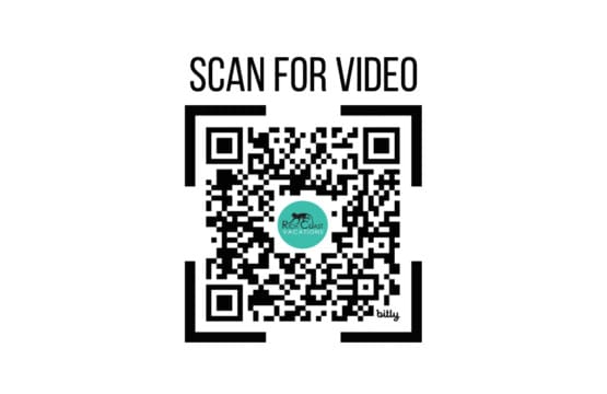 633a5bfd 53b5 4dab bb5f 5d1264b64c2c.jpg