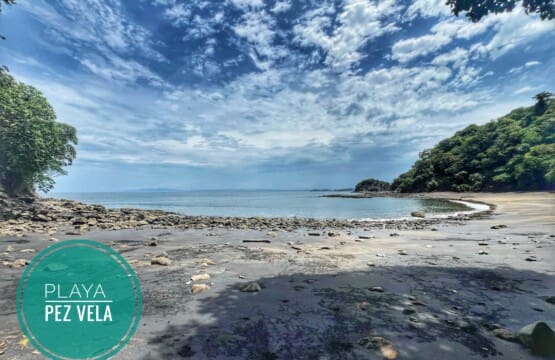 Playa Pez Vela is great for snorkeling or a great meal at the Soluna Beach Bistro