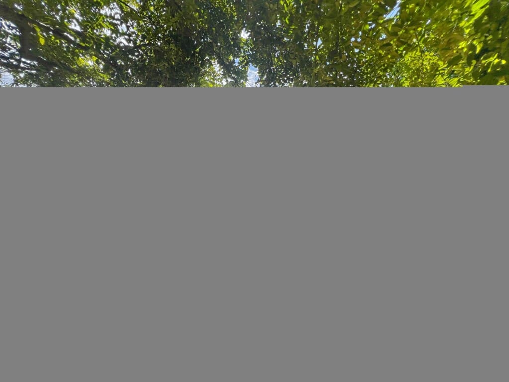 b291cacf 6740 4dd8 810b 4a8cf40ad26c.jpg