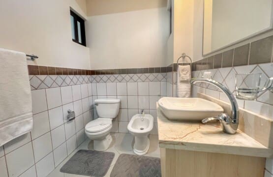 The primary ensuite bathroom has a large shower stall, sink, toilet and bidet.